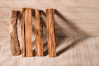 Şifalı bitki kedi pençesi kabuğu, uncaria tomentosa