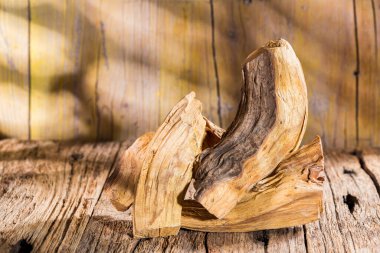 Bursera mezarlığı, özü ve reçinesi. İspanyolca 