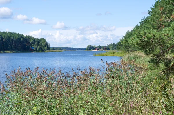 Lake Seliger, região de Tver, Rússia — Fotografia de Stock