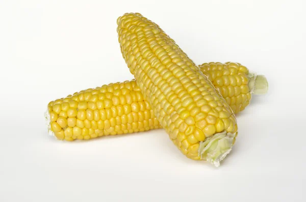 Fresh corn on white background — Stock Photo, Image