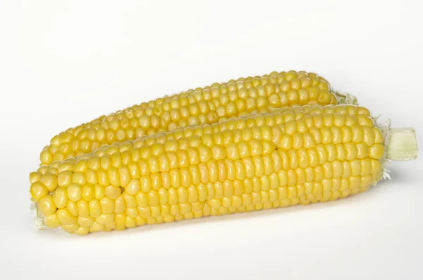 Fresh corn on white background — Stock Photo, Image