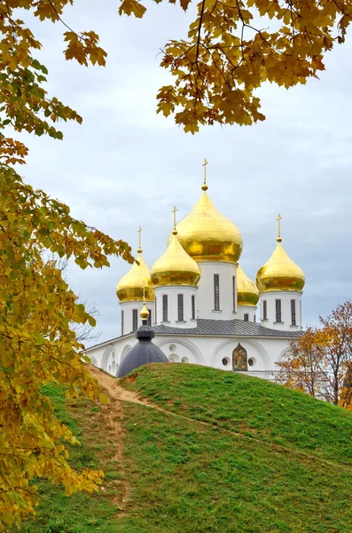 Cupole della Cattedrale Dormizione di Dmitrov, Russia — Foto Stock