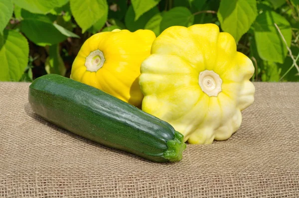 Den squash och zucchini på säckväv — Stockfoto