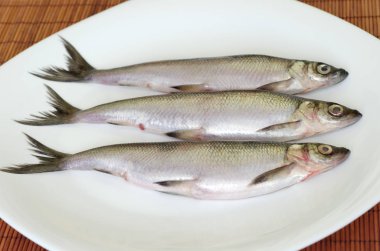 Taze balık vendace beyaz bir plaka üzerinde