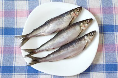 Taze balık vendace beyaz bir plaka üzerinde