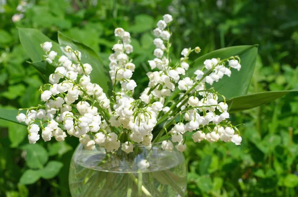 Convallaria in glasvaas buitenshuis — Stockfoto