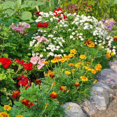 Kulübemde üzerinde Mixborders