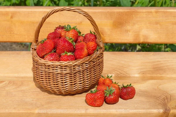 Basket with ripe strawberries outdoors — Stock Photo, Image