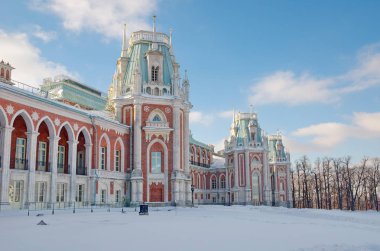 Grand palace Estate Tsaritsyno, Moskova, Rusya Federasyonu 