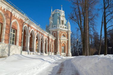 Grand palace Estate Tsaritsyno, Moskova, Rusya Federasyonu 