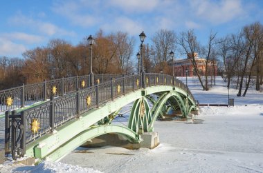 Kış görünümü Tsaritsyno Park Köprüsü