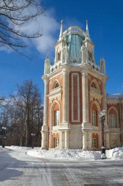grand palace tsaritsyno, Moskova, Rusya 