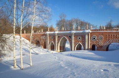 Çok güzel bir köprü Tsaritsyno Park, Moskova, Rusya Federasyonu