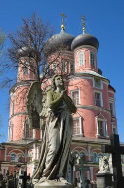 Donskoy Manastırı, Moskova, Rusya Federasyonu