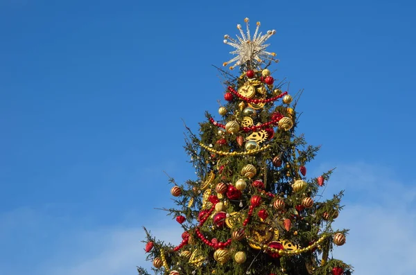 Árbol de Navidad sobre fondo azul cielo —  Fotos de Stock