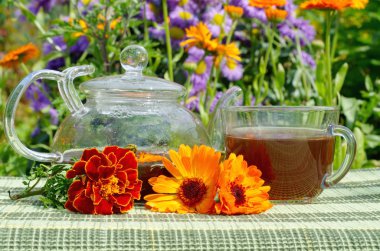 Cam çaydanlık ve bardak bitkisel çay açık havada. Calendula ve nane ile çay