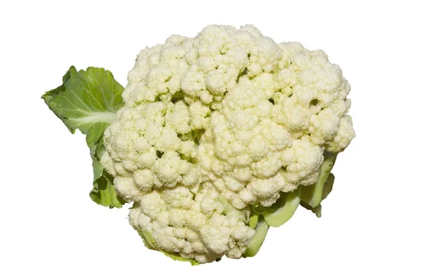 Ripe Heads Cauliflower Isolated White Background — Stock Photo, Image