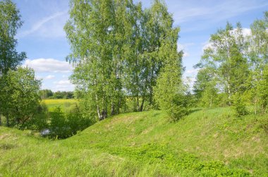 Güneşli bir günde bahar manzarası