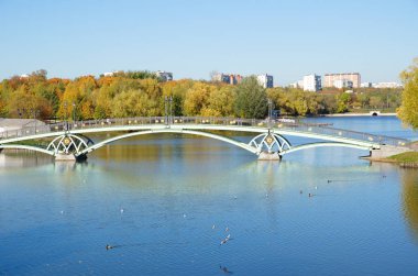 Tsaritsyno Park 'taki göletin üzerindeki yaya köprüsünün sonbahar manzarası. Moskova, Rusya