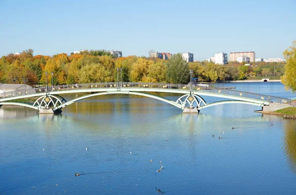 Vue Automne Passerelle Piétonne Sur Étang Dans Parc Tsaritsyno Moscou — Photo