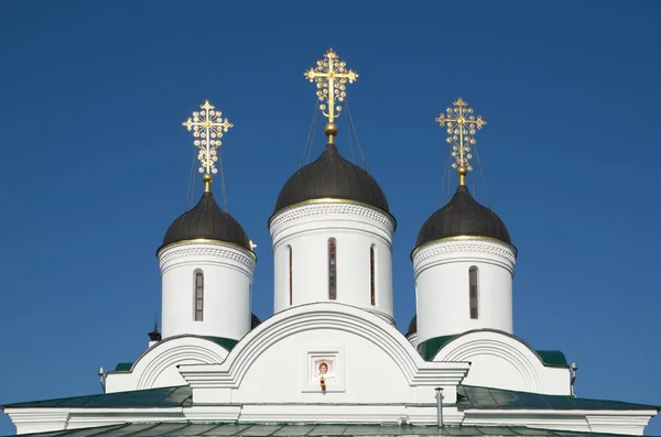 Kuppel Der Kathedrale Der Verklärung Spaso Preobraschenski Kloster Die Stadt — Stockfoto
