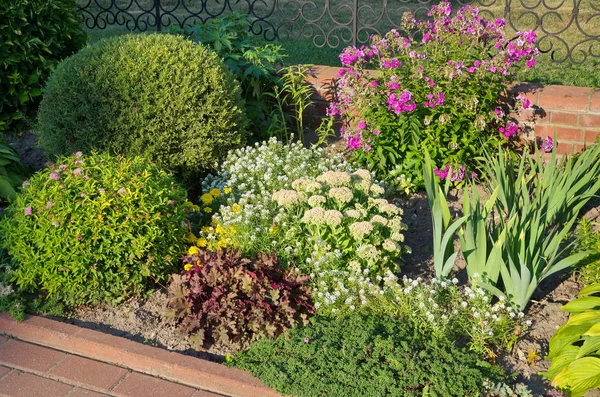 Mixborder Perennial Plants Garden — Stock Photo, Image