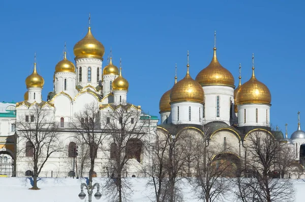 宣布和假定莫斯科克里姆林宫大教堂 俄罗斯 莫斯科 — 图库照片