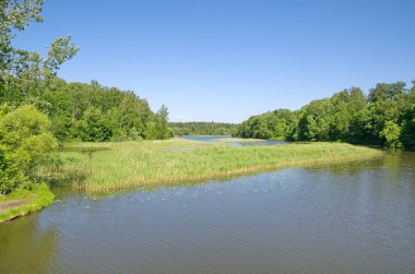 Güneşli bir günde yaz suyu manzarası
