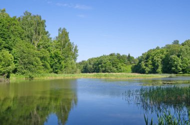 Güneşli havalarda yaz suları manzarası