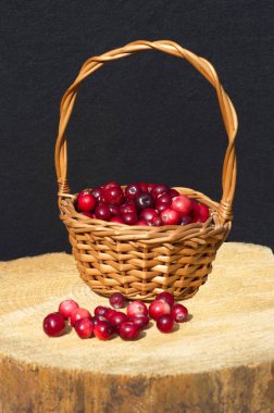 Bir kütüğün üzerinde olgun kızılcıklar