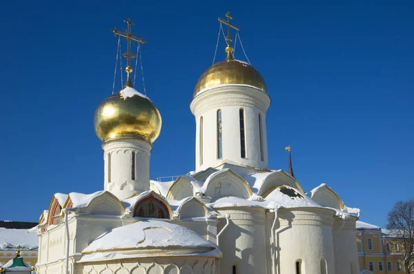 Kuppeln Der Dreifaltigkeitskathedrale Der Heiligen Dreifaltigkeit Sergius Lavra Sergiev Posad — Stockfoto