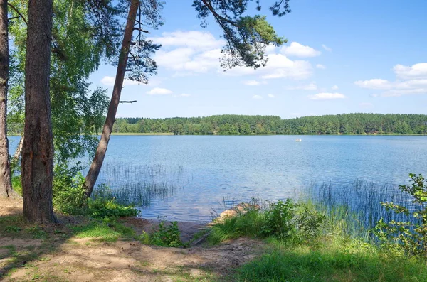Przyroda Seligera Region Tweru Rosja Jezioro Beloe Słoneczny Letni Dzień — Zdjęcie stockowe