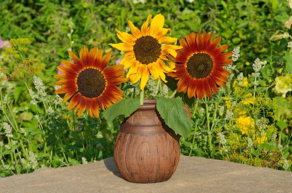 Decorative Sunflowers Clay Jar Garden — Stock Photo, Image