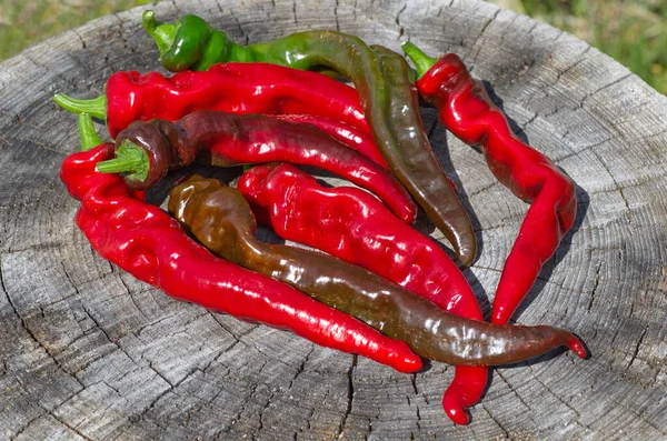 Chilischoten Auf Einem Alten Baumstumpf — Stockfoto