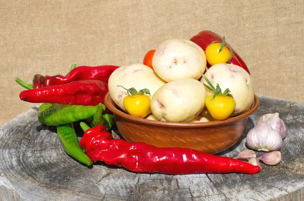 Bodegón Verduras Frescas Del Jardín Viejo Tocón — Foto de Stock