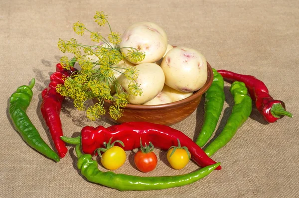 Los Pimientos Picantes Las Patatas Nuevas Los Tomates Saqueo — Foto de Stock