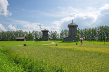 Suzdal, Rusya - 26 Temmuz 2019: Ahşap mimari ve köylü yaşamı müzesi. Moshok Sudogodsky köyünden (18. yüzyıl) yel değirmenleri. Rusya 'nın altın yüzüğü 