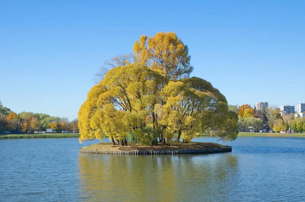 Upper Pond Island Tsaritsyno Park Moscow Russia — Stock Photo, Image