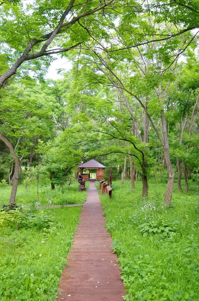 Pereslavl Zalessky Russie Août 2017 Jardin Dendrologique Pereslavl Nommé Après — Photo