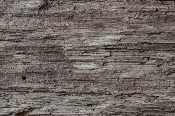 Doku eski ahşap ağaç.