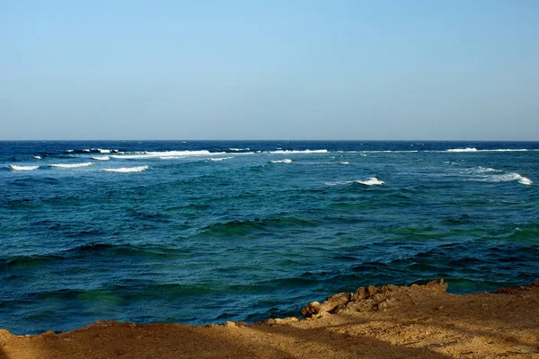 Costa del Mar Rosso — Foto Stock