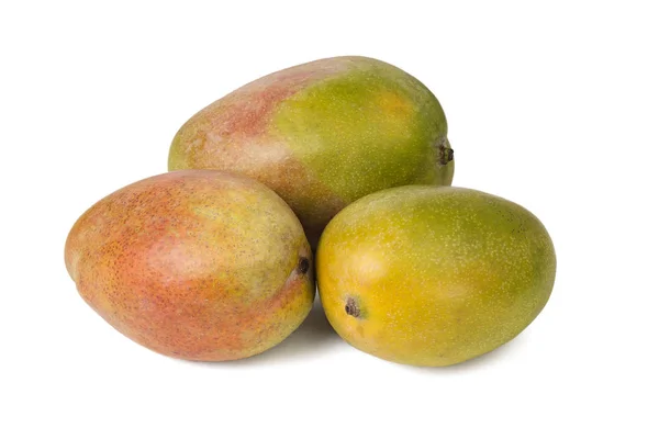 Three juicy fresh mango isolated. — Stock Photo, Image