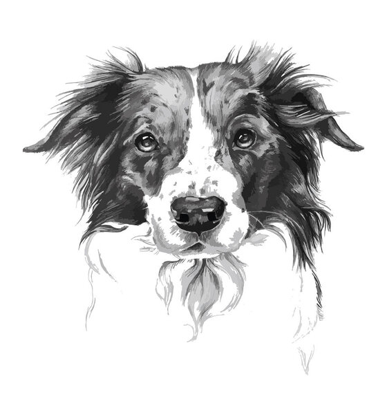 Portrait of dog in black and white art