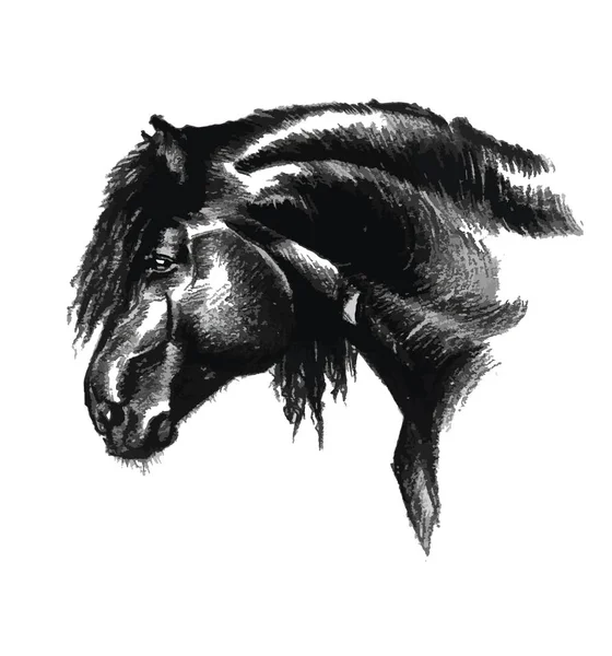 Portrait de cheval en dessin d'art noir et blanc — Image vectorielle