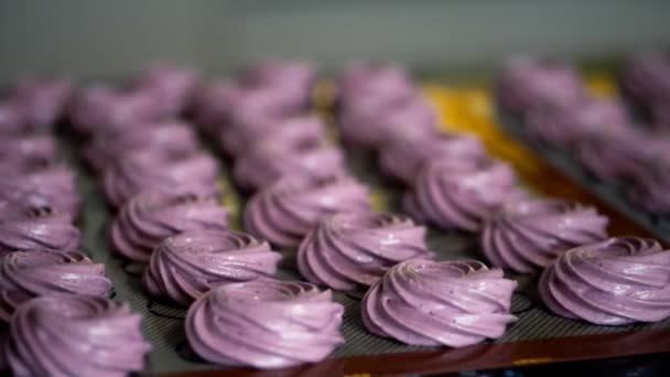 在厨房的餐桌上, 蓝莓风干燥。航空软糖是糖果产品. — 图库视频影像
