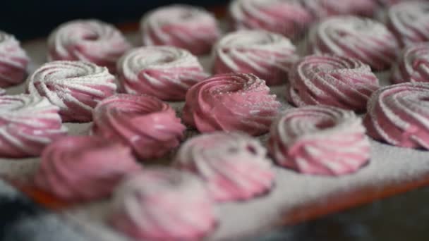 Afgewerkte roze marshmallows besprenkeld met witte suiker poeder. — Stockvideo