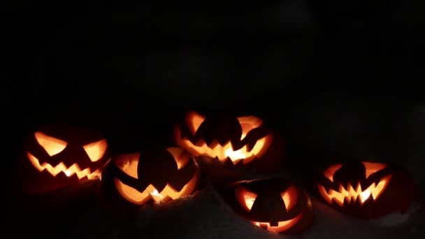 Halloween pumpkins having fun, loop — Stock video
