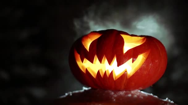 Burning pumpkin on Halloween. Looped — Stock Video