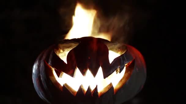 Halloween Jack o linterna. Con bucle — Vídeo de stock