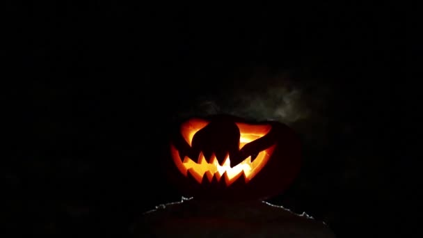 Burning pumpkin on Halloween. Looped — Stock Video